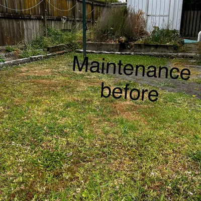 Do It Right Landscape&Gardening Services